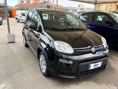 Usata Fiat Panda S 69 CV (50 kW) 2024 Nero Utilitaria