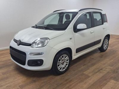 usata Fiat Panda 1.2 1.2 Lounge