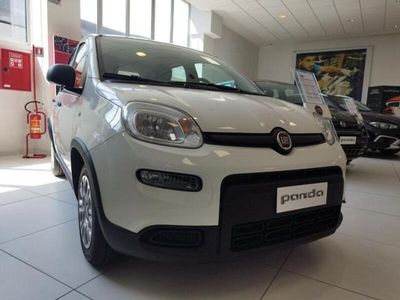 usata Fiat Panda 1.0 Hybrid Km Zero