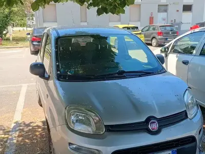Usata Fiat Panda 69 CV (50 kW) 2016 Grigio Utilitaria