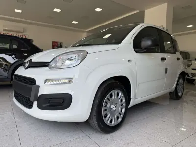 Usata Fiat Panda Cross