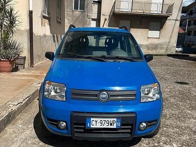 Usata Fiat Panda 4x4 69 CV (50 kW) 2005 Blu Utilitaria