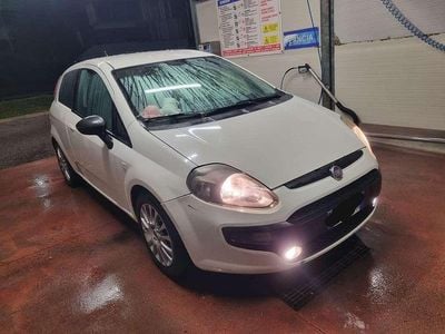 Usata Fiat Punto Evo Dynamic 75 CV (55 kW) 2010 Bianco Utilitaria