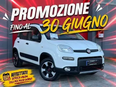 Usata Fiat Panda 4x4 95 CV (69 kW) 2018 Other Utilitaria