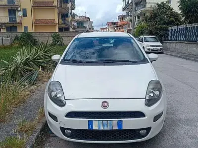 Usata Fiat Punto Lounge 77 CV (56 kW) 2016 Bianco Utilitaria