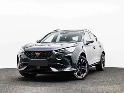 Usata Cupra Formentor 150 CV (110 kW) 2024 Grigio SUV