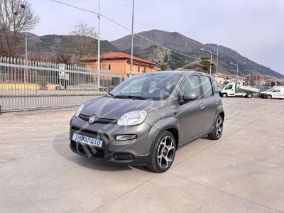 Usata Fiat Panda Sport 69 CV (50 kW) 2021 Grigio Utilitaria