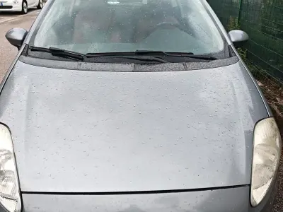 Usata Fiat Punto