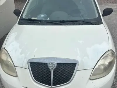 Usata Lancia Ypsilon