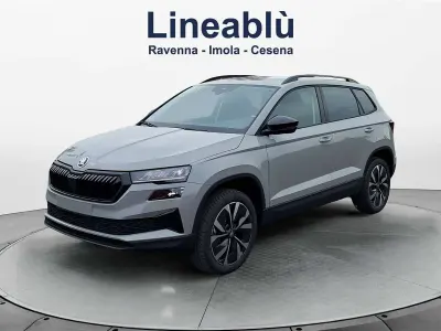 Usata Skoda Karoq
