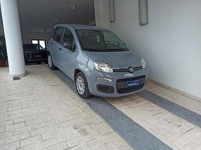 Usata Fiat Panda Easy 69 CV (50 kW) 2019 Grigio Utilitaria