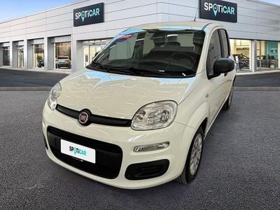 Usata Fiat Panda Easy 69 CV (50 kW) 2016 Bianco Utilitaria