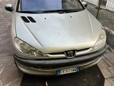 Usata Peugeot 206