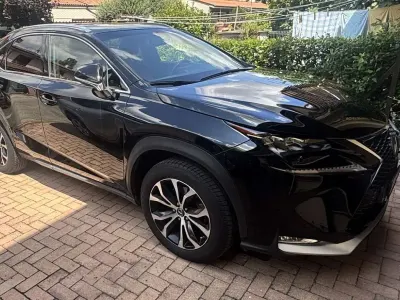 Usata Lexus NX300h 155 CV (114 kW) 2017 SUV