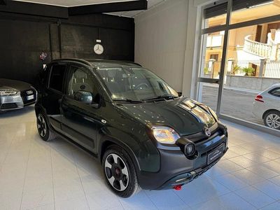 Usata Fiat Panda Cross Cross 70 CV (51 kW) 2024 Verde Utilitaria