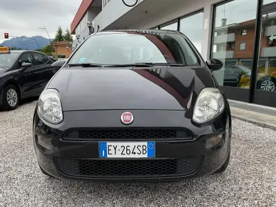 Usata Fiat Punto Lounge 69 CV (50 kW) 2015 Giallo Utilitaria