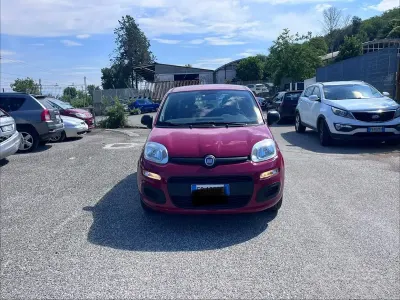 Usata Fiat Panda Easy 69 CV (50 kW) 2015 Marrone Utilitaria