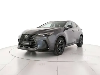 Usata Lexus NX350h 190 CV (139 kW) 2024 Grigio SUV