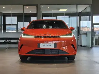 Usata BYD Dolphin