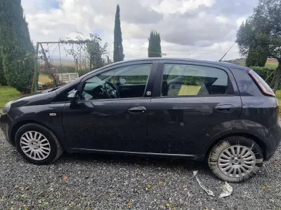 Usata Fiat Punto Evo