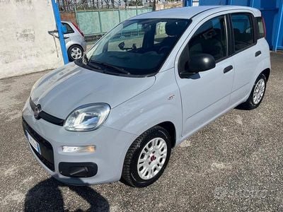Usata Fiat Panda 2017 Grigio Utilitaria