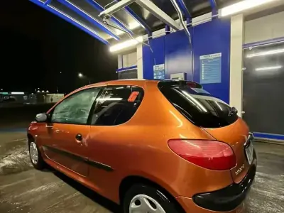 Usata Peugeot 206