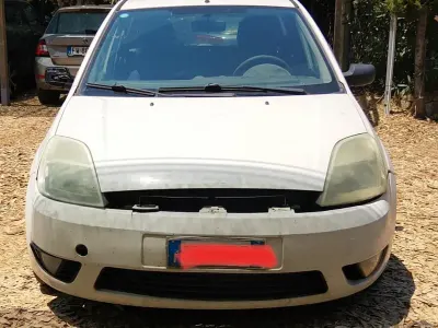 Usata Ford Fiesta