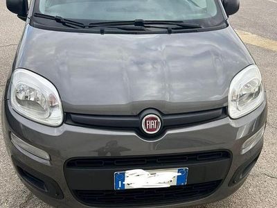 Usata Fiat Panda S 70 CV (51 kW) 2021 Grigio Utilitaria