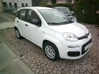 Usata Fiat Panda Easy 69 CV (50 kW) 2020 Bianco Utilitaria