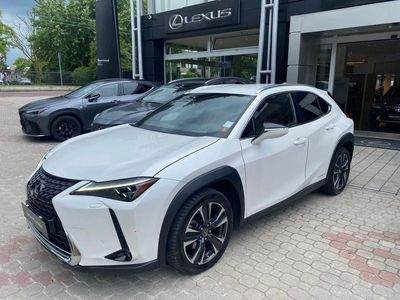 usata Lexus UX Hybrid 4WD Luxury