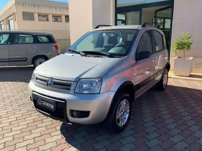 Usata Fiat Panda 4x4 Climbing 69 CV (50 kW) 2006 Grigio Utilitaria