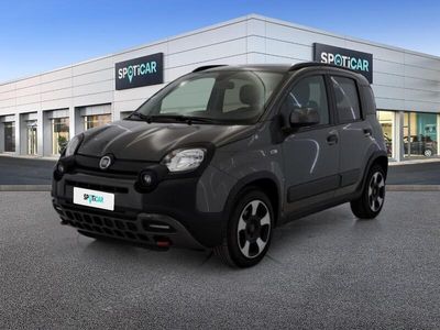 usata Fiat Panda Cross 1.0 FireFly 70cv S&S Hybrid SCOPRI DI PIÙ SU QUESTO VEICOLO E SULLE MODALITÀ DI CONSEGNA