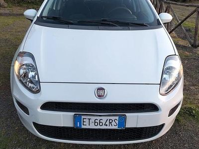 Usata Fiat Punto 75 CV (55 kW) 2014 Bianco Utilitaria