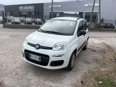 Usata Fiat Panda Active 60 CV (44 kW) 2015 Utilitaria
