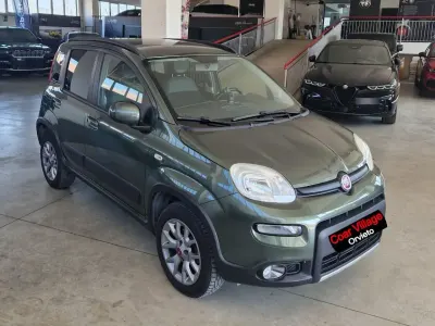 Usata Fiat Panda 4x4 Climbing 95 CV (69 kW) 2017 Verde Utilitaria