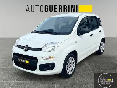 Usata Fiat Panda Easy 69 CV (50 kW) 2019 Bianco Utilitaria