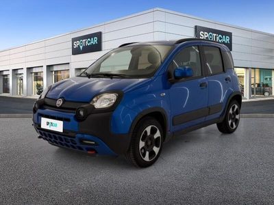 usata Fiat Panda Cross 1.0 FireFly 70cv S&S Hybrid