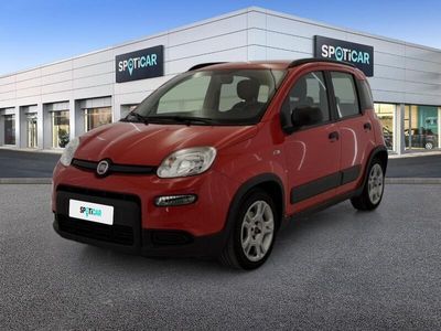 usata Fiat Panda 1.0 FireFly 70cv S&S Hybrid City Life City Lif