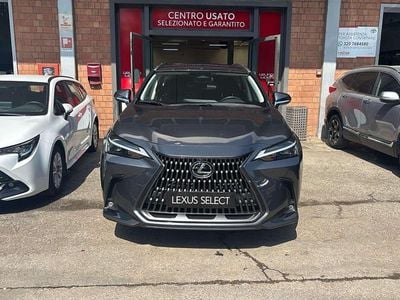 Usata Lexus NX300 Business Edition 243 CV (178 kW) 2023 Grigio SUV