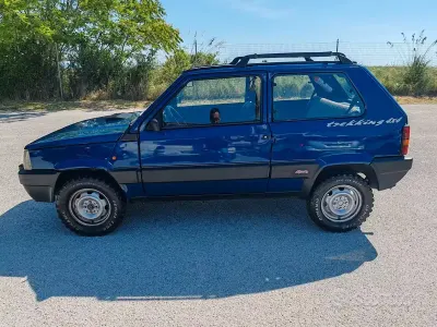Usata Fiat Panda 4x4 Trekking 50 CV (36 kW) 1992 Bluazzurro Utilitaria