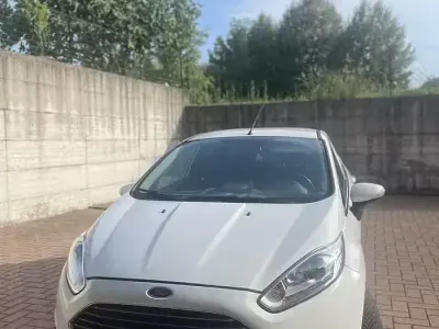 Usata Ford Fiesta