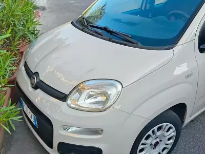 Usata Fiat Panda 69 CV (50 kW) 2017 Utilitaria