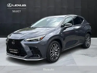 Usata Lexus NX450h+ Sport Line 309 CV (227 kW) 2022 Grigio SUV