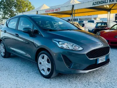 Gebraucht Ford Fiesta Active 86 PS (63 kW) 2020 Grau Kleinwagen