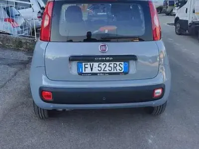Usata Fiat Panda Lounge 69 CV (50 kW) 2019 Grigio Utilitaria