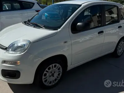 Usata Fiat Panda Easy 69 CV (50 kW) 2018 Bianco Utilitaria