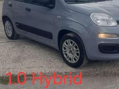 Usata Fiat Panda Connect 69 CV (50 kW) 2021 Utilitaria