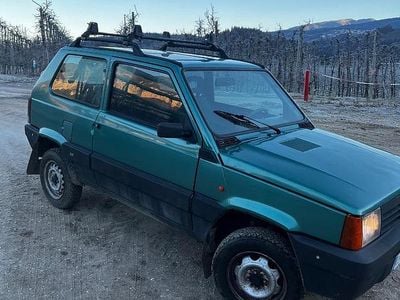 Usata Fiat Panda 4x4 Trekking 54 CV (39 kW) 2003 Verde Utilitaria