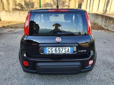 Usata Fiat Panda 70 CV (51 kW) 2024 Nero Utilitaria