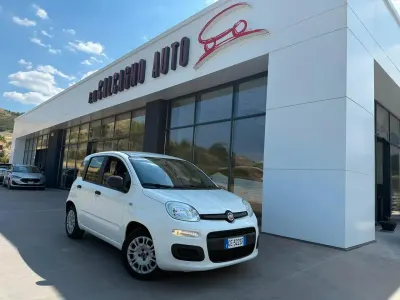 Usata Fiat Panda S 70 CV (51 kW) 2021 Bianco Utilitaria